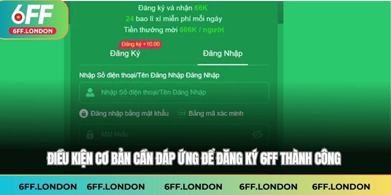 Điều kiện cơ bản cần đáp ứng để đăng ký 6FF thành công