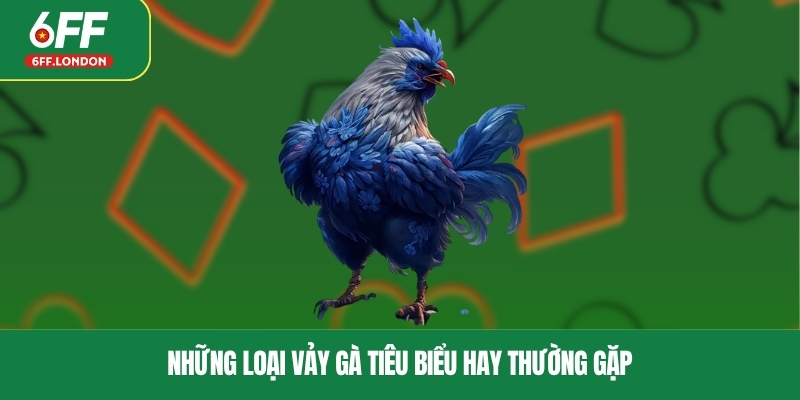 Những loại vảy gà tiêu biểu hay thường gặp