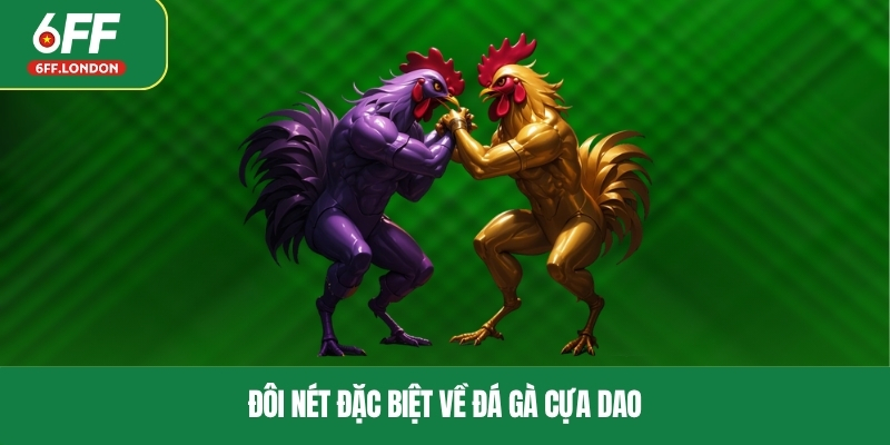 Đôi nét đặc biệt về đá gà cựa dao