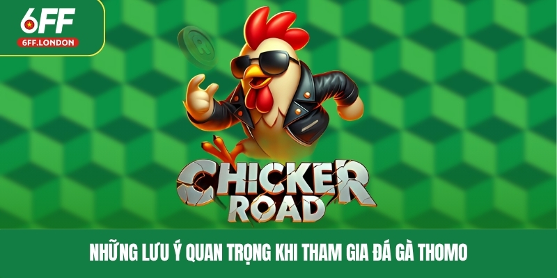 Những lưu ý quan trọng khi tham gia đá gà Thomo