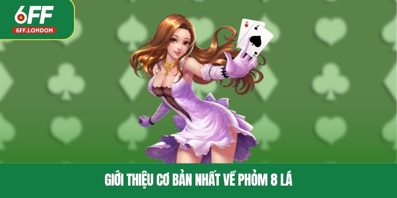 Giới thiệu cơ bản nhất về phỏm 8 lá