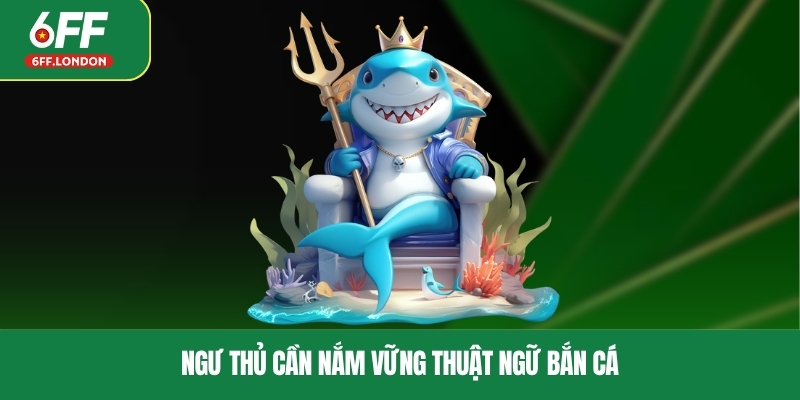 Ngư thủ cần nắm vững thuật ngữ bắn cá
