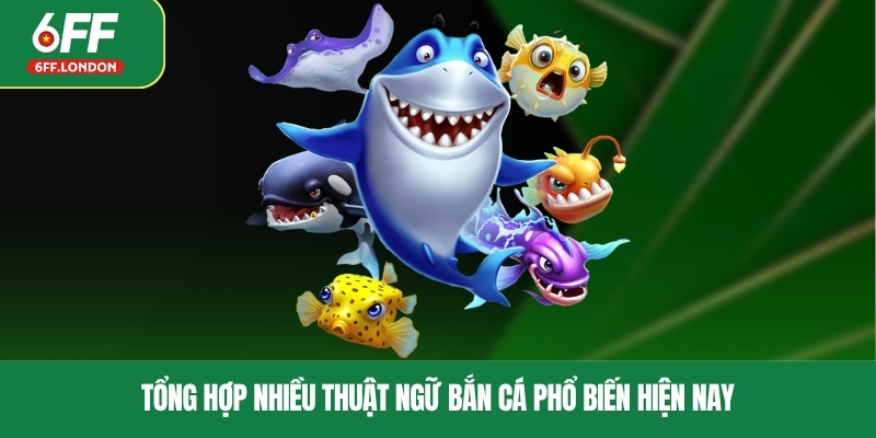 Tổng hợp nhiều thuật ngữ bắn cá phổ biến hiện nay